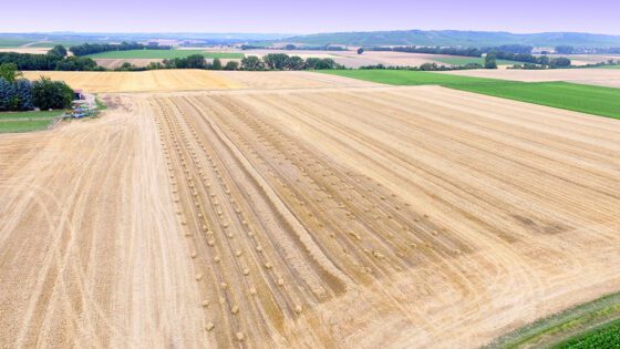 Drone shot of a harvested field with hay bales on farm land.