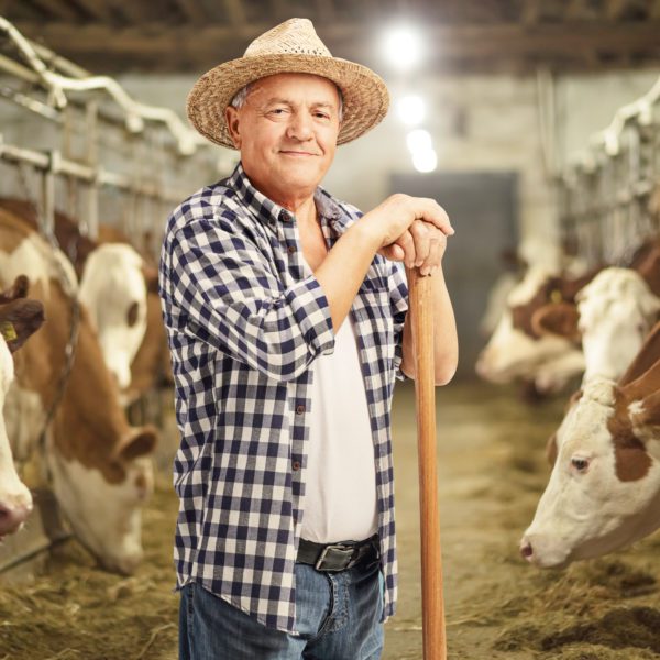 Farmer smiling in a cowshed.