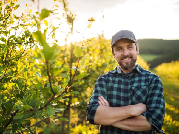 Man smiling in an orchard at sunset.