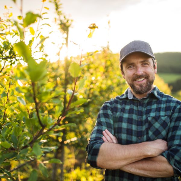 Man smiling in an orchard at sunset.